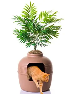 Best Kitty Litter End Table