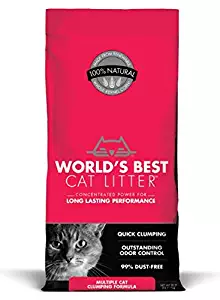 Best Kitty Litter End Table