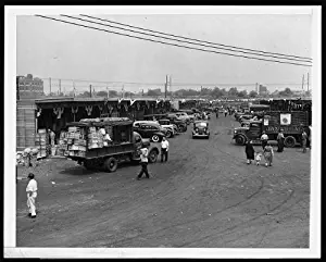 Infinite Photographs Photo: New Brooklyn Terminal Market,New York,NY,1941,Cars,Trucks,Wooden Stalls,Produce