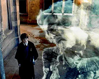 Harry Potter Daniel Radcliffe Looking Young Standing Gazing Up 8 x 10 Inch Photo LTD6