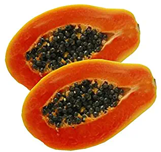 Florida Red Royale Papaya Seeds (Carica Papaya) 5+ Non-GMO Tropical Fruit Tree Seeds