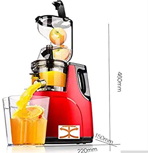 TX® Large Wide Mouth Feeding Chute Whole Apple Slow Juicer Fruit Vegetable Citrus Juice Extractor 0.5L-1L juice Squeezer Masticating Juicers with double outlets (7 spiral masticating, 220V/50HZ)