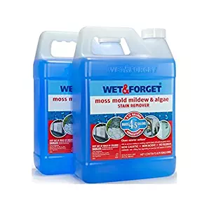 Set of 2 Wet and Forget Moss, Mildew and Algae Stain Remover