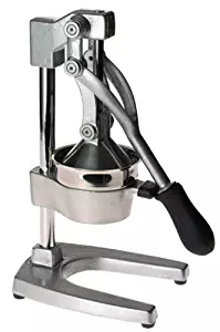 Orange-X Mid-Size Professional Juicer, Silver