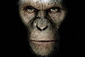 Rise Of The Planet Of The Apes Tv Movie Film Poster Fabric Silk Poster Print B0121-83