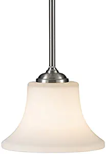 Sea Gull Lighting P1117BS Barrington One Light Mini-Pendant, 1, Brushed Steel