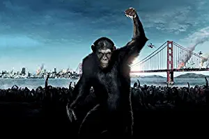 Rise Of The Planet Of The Apes F Movie Film Poster Fabric Silk Poster Print B0225-55