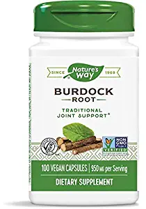 Nature's Way Burdock Root 475 mg per capsule, 100 Vegetarian Caps, Pack of 2