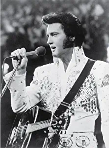 Elvis Presley Performing - Vintage Photo Art Print (19