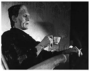 Even Monsters Need a Break Photograph Print Poster Frankenstein Movies 11×14