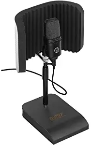 Auray RFDT-128 Desktop Reflection Filter and Mic Stand