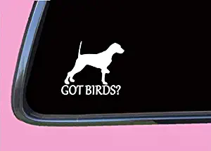 English Pointer Got Birds,Vinyl Window Decals for Bottle Laptop Cars Wall Art Quote Funny Stickers