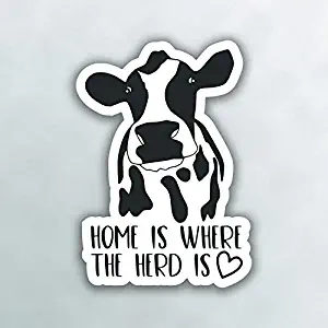 More Shiz Home is Where The Heard is Cow Vinyl Decal Sticker - Car Truck Van SUV Window Wall Cup Laptop - One 5 Inch Decal - MKS0991