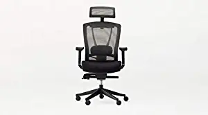 Autonomous Ergo Chair 2 - Premium Ergonomic Office Chair - 7-Way Adjustable Angle Chair (All Black)
