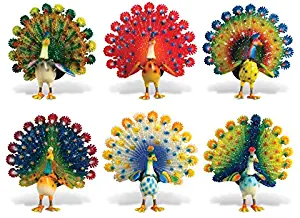 CoTa Global Peacock Refrigerator Bobble Magnets Set of 6 - Assorted Color Fun Cute Wild Life Animal Bird Bobble Head Magnets For Kitchen Fridge, Home Decor, Cool Office and Decorative Novelty - 6 Pack